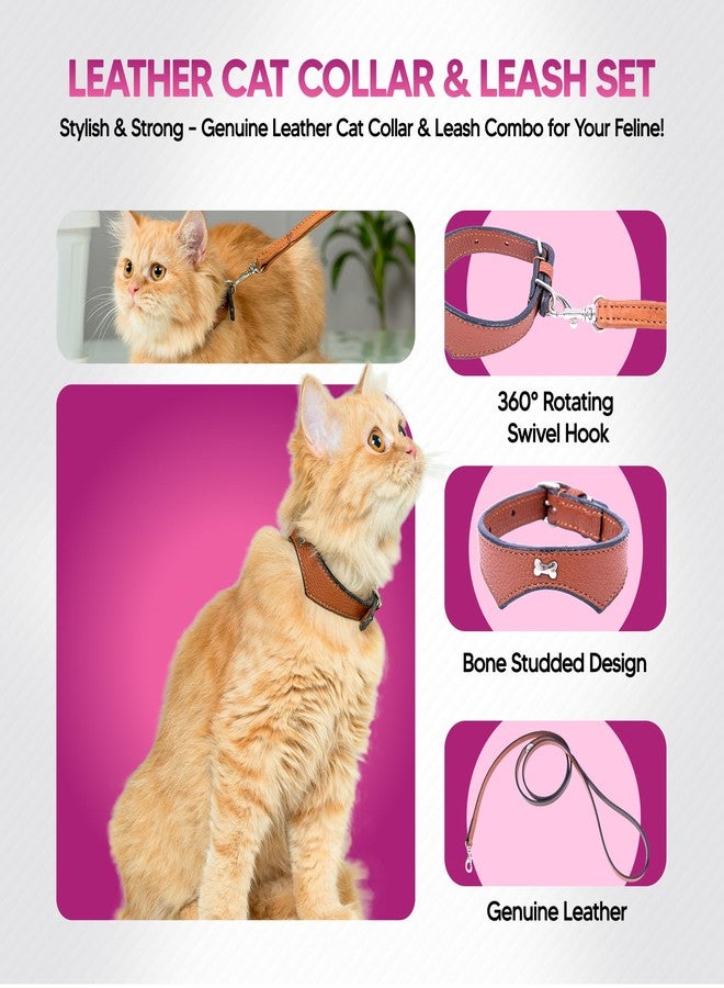 ADIL'S Adil’S Leather Cat Collar & Leash Set Combo - Stylish Single Bone Studded Design Collar, Genuine Leather, Adjustable Buckle & Secure 5ft Leash for Outdoor Activity (Cognac) - Image 5
